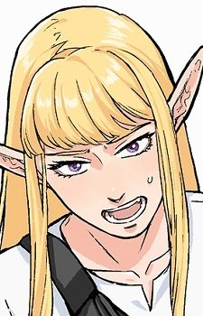 Yokohama Elf